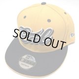 MISTER CARTOON CAL SCRIPT snapback
