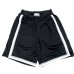 画像1: PROCLUB RETRO BASKET SHORT ブラック (1)