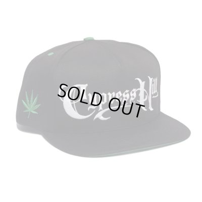 画像1: TOO HIGH TO DIE SNAPBACK CAP