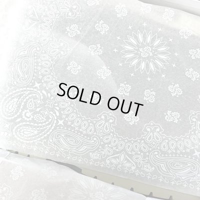 画像4: Lugz X Estevan Oriol