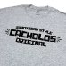 画像1: CACHOLOS JAPOXICAN TEE ライトグレー (1)