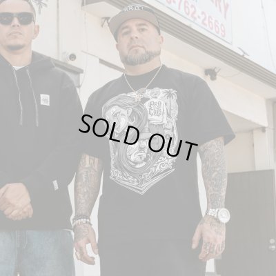 画像8: PROCLUB X Mister Cartoon  SATIN SNAPBACK CAP