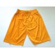 画像1: KING BASKET MESH SHORT (1)