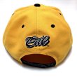 画像3: MISTER CARTOON CAL SCRIPT snapback (3)