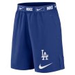 画像1: NIKE LA Dodgers SHORTS ブルー (1)