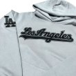 画像1: PRO STANDARD LA Dodgers CHAMPS別注 Hoody (1)