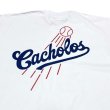 画像1: CACHOLOS Dodgers Tee ホワイト (1)