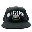 画像1: Chicano Park Cap (1)