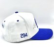 画像3: P294 LAnd Snapback Cap ブルー/ホワイト (3)