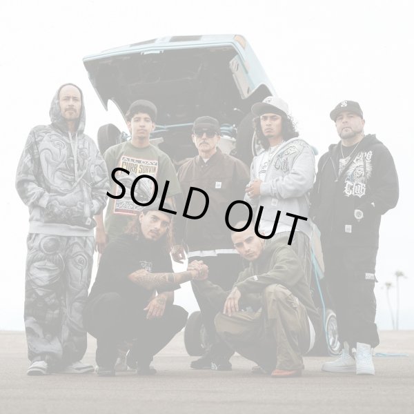 画像5: PROCLUB X Mister Cartoon  TATTOO SWEAT PANT (5)